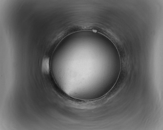 X0000116440028200912081606