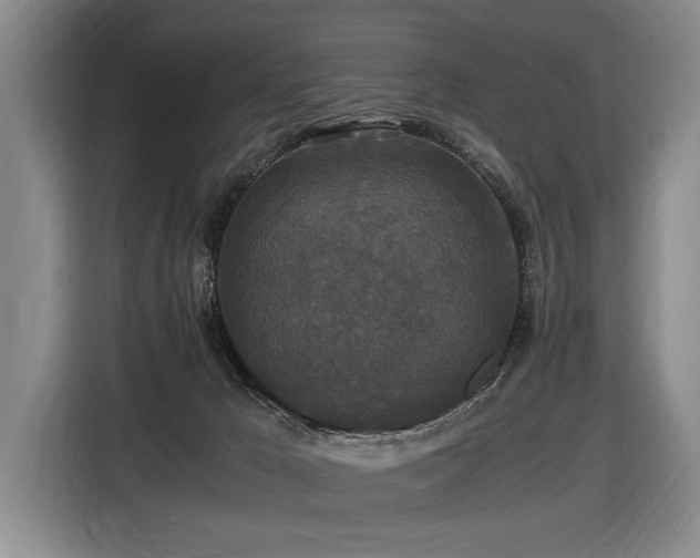 X0000116440029200912081606