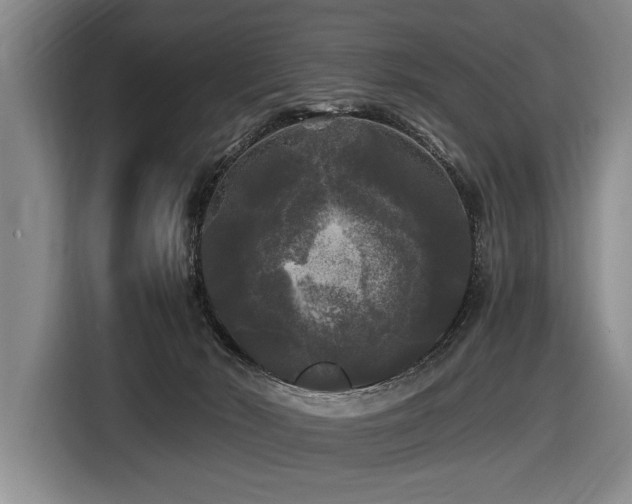 X0000116440030200912081606