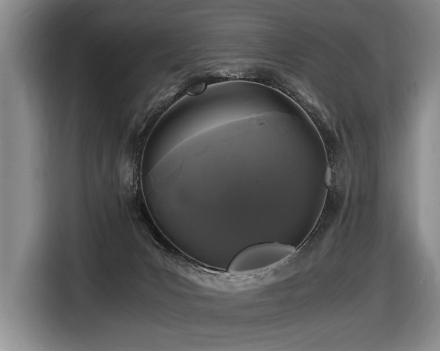 X0000116440031200912081606
