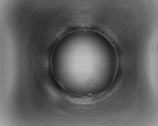 X0000116440032200912081606