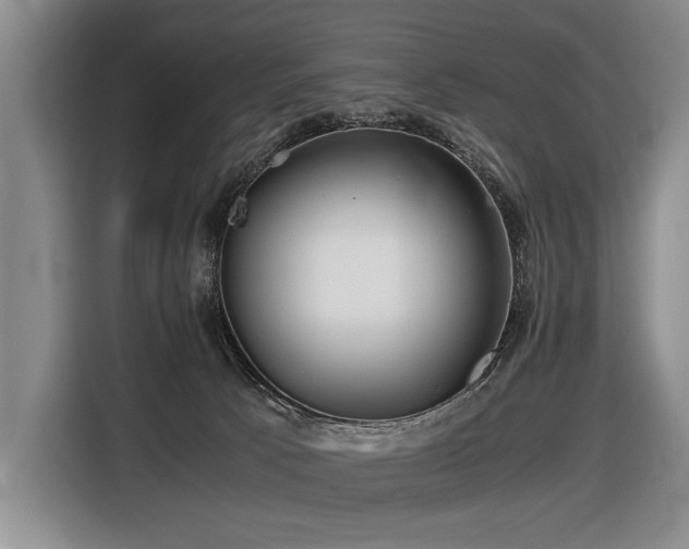 X0000116440033200912081606