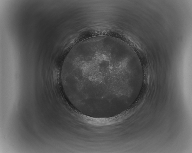 X0000116440034200912081606