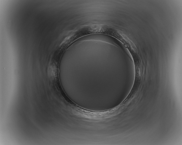 X0000116440035200912081606