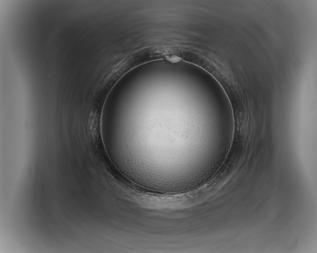 X0000116440036200912081606