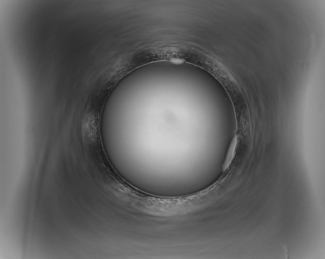 X0000116440037200912081606