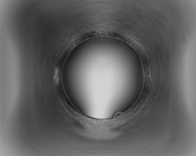 X0000116440038200912081606