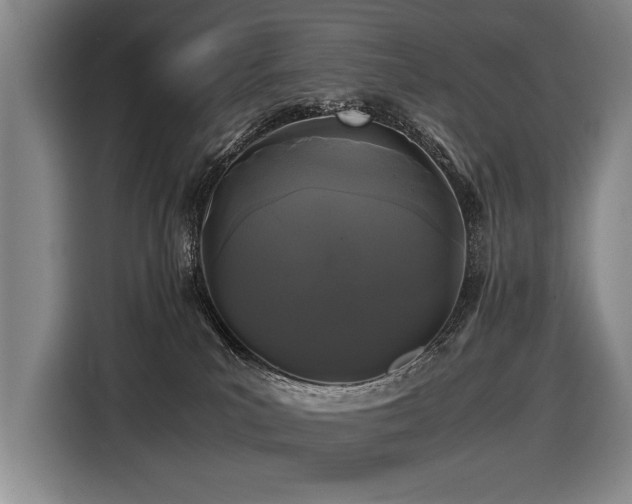 X0000116440039200912081606