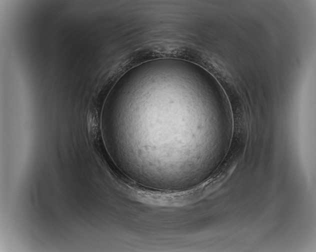 X0000116440040200912081606