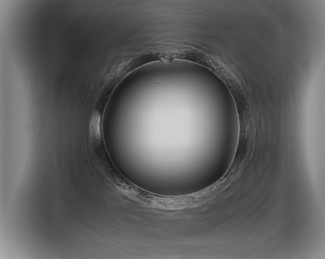 X0000116440041200912081606