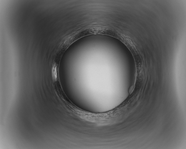 X0000116440042200912081606