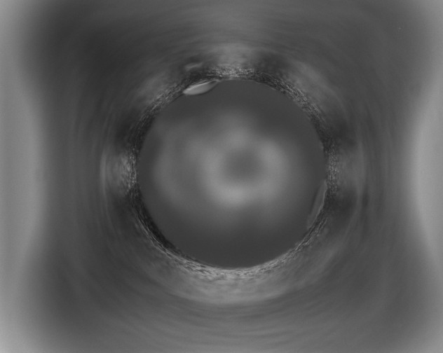 X0000116440043200912081606