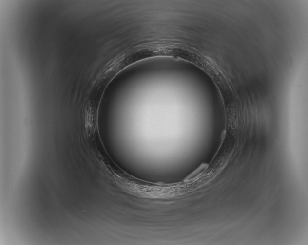 X0000116440044200912081606