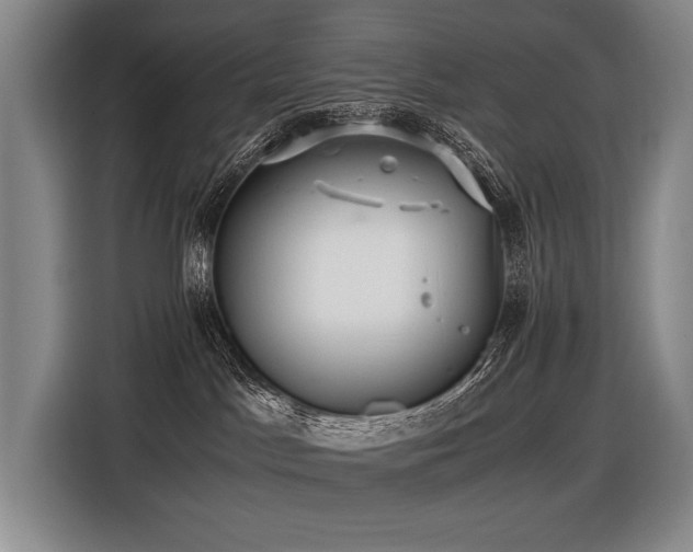 X0000116440045200912081606