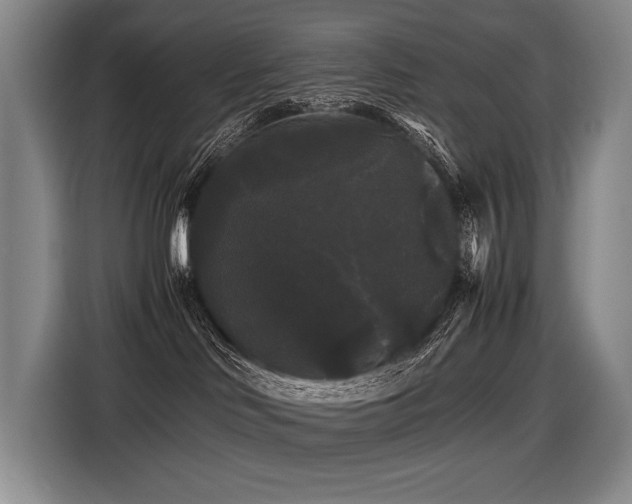 X0000116440046200912081606