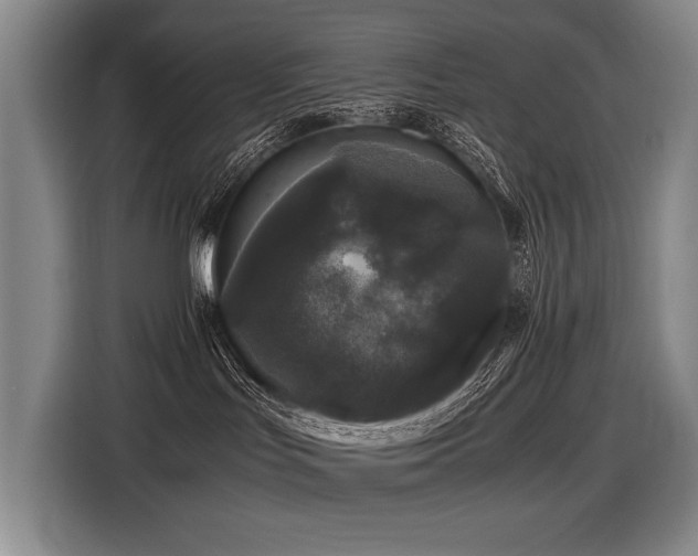 X0000116440047200912081606
