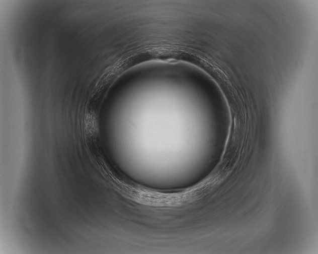 X0000116440048200912081606