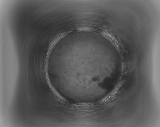 X0000116440049200912081605