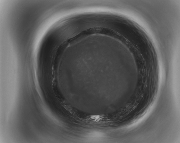 X0000116440050200912081605