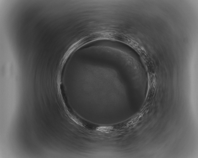 X0000116440051200912081605