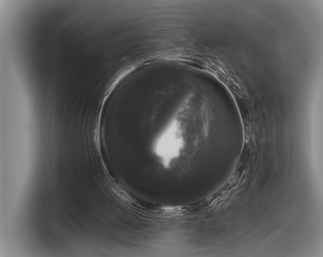 X0000116440052200912081605