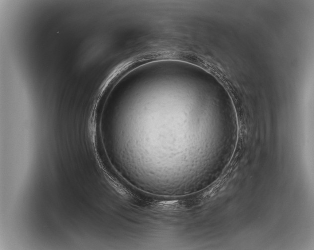 X0000116440054200912081605