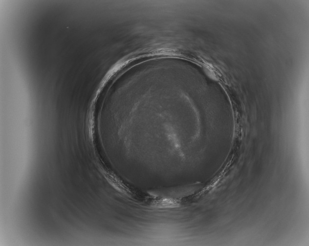 X0000116440056200912081605