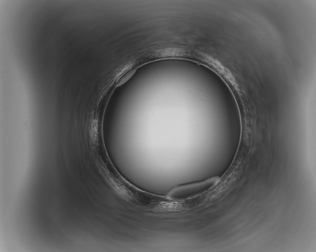 X0000116440057200912081605