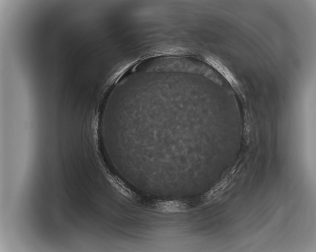 X0000116440058200912081605