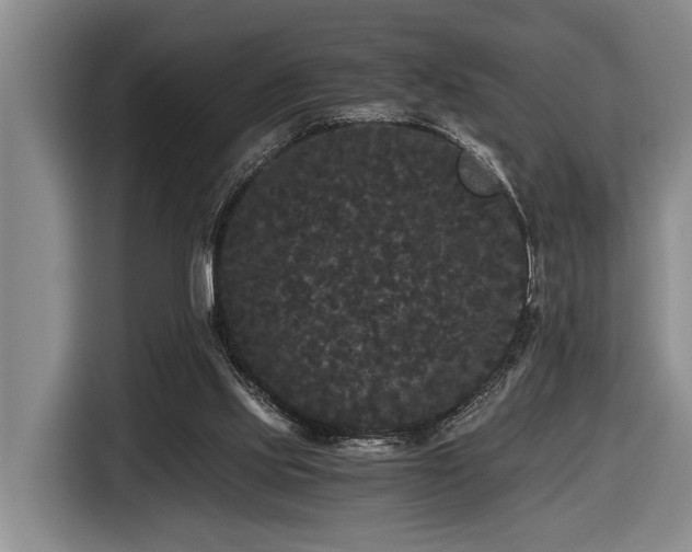 X0000116440061200912081605