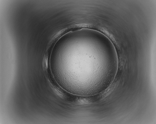 X0000116440062200912081605