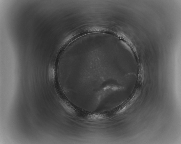 X0000116440063200912081605