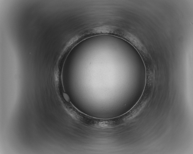 X0000116440064200912081605