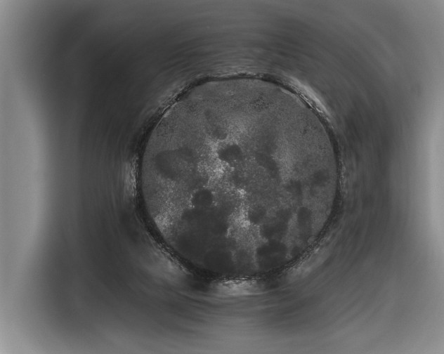 X0000116440065200912081605