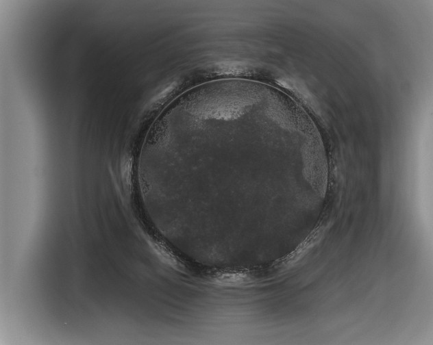 X0000116440066200912081605