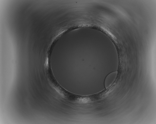 X0000116440067200912081605