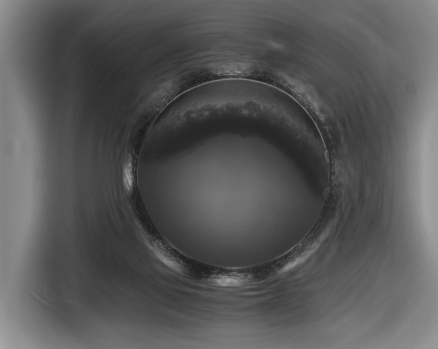 X0000116440069200912081605