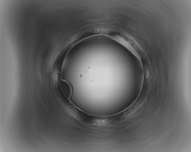 X0000116440071200912081605