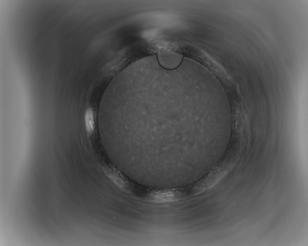 X0000116440075200912081605
