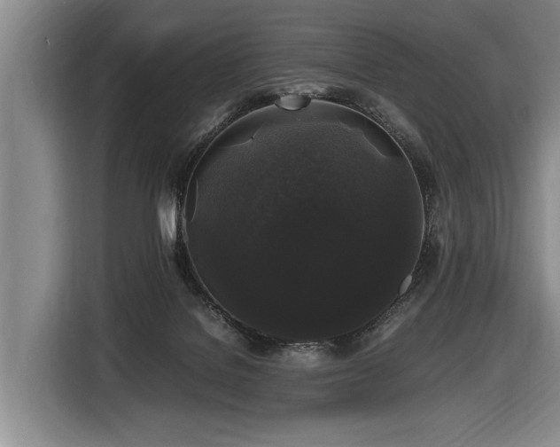 X0000116440076200912081605