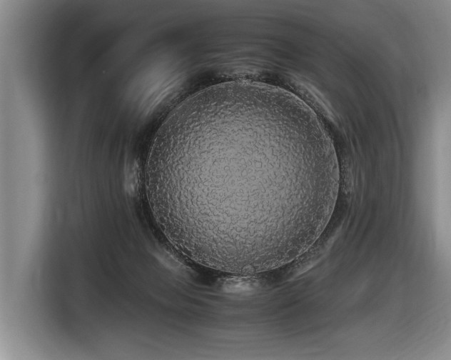 X0000116440077200912081605