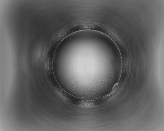 X0000116440078200912081605