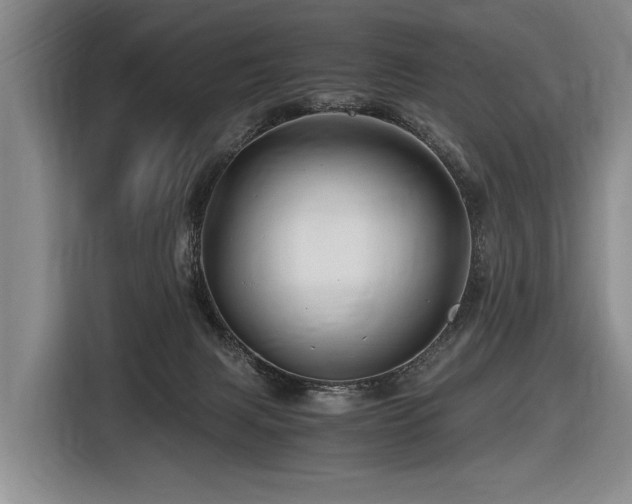 X0000116440079200912081605
