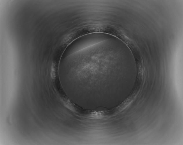X0000116440080200912081605