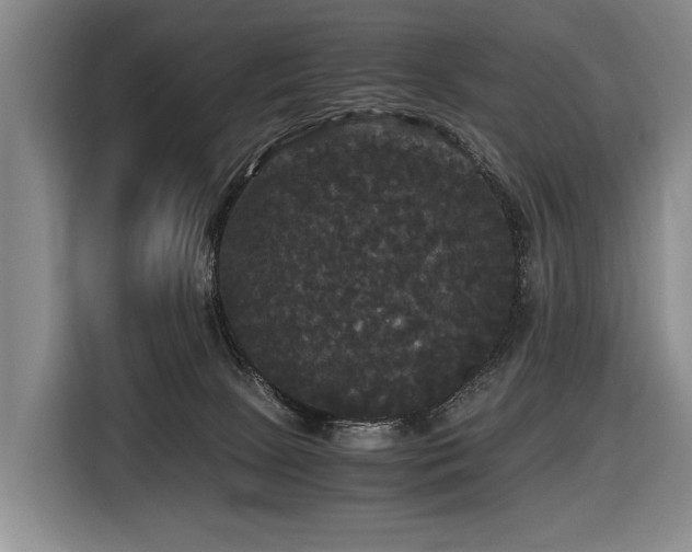 X0000116440081200912081605