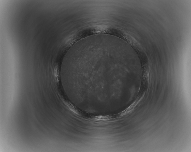 X0000116440082200912081605