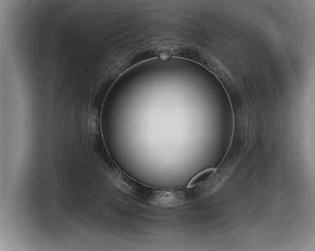 X0000116440083200912081605