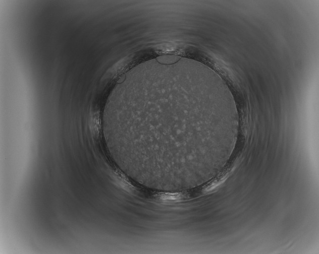X0000116440085200912081605