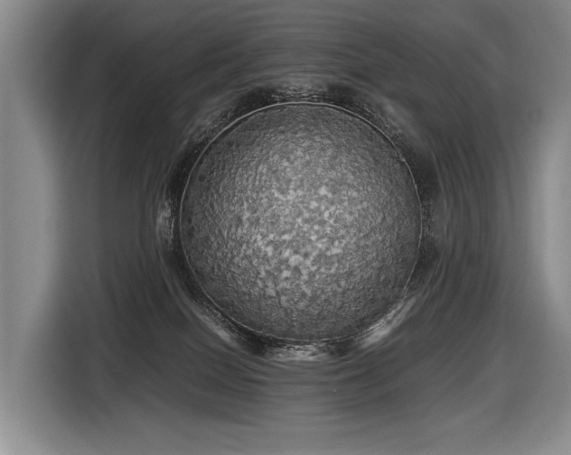 X0000116440086200912081606