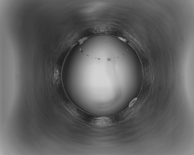 X0000116440087200912081606